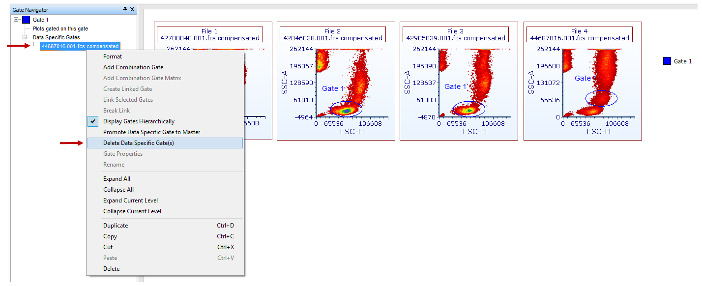 Figure 9.14- A Data File Specific Gate can be removed using the right click menu in the Gate Navigator.
