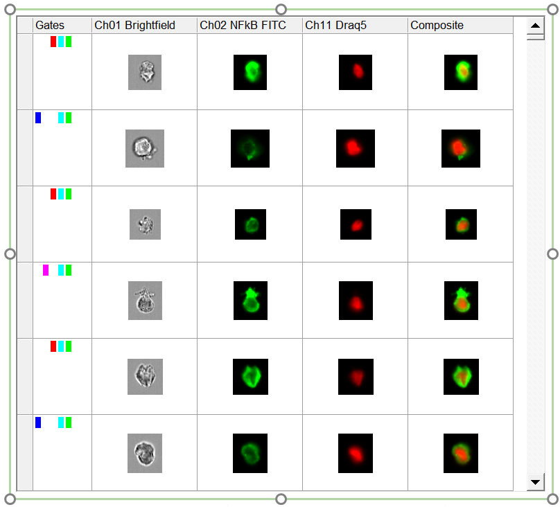 Figure 18.5  Creating a Gate on a Data Grid