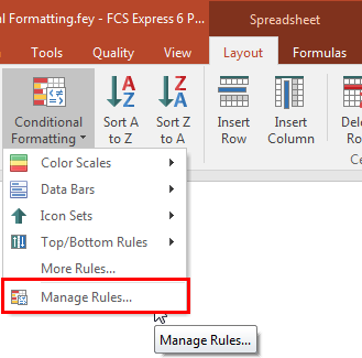 Figure T15.41 Managing Conditional Formatting Rules