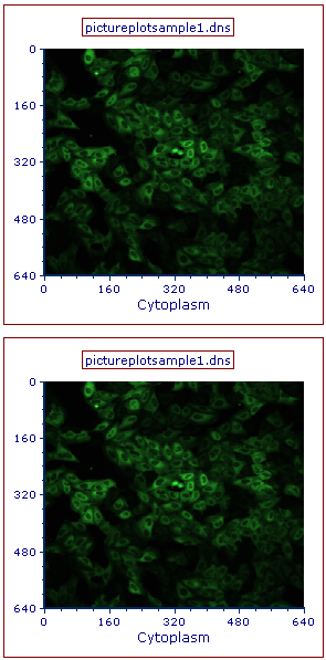 Figure T28.14 Copy and Paste a Picture Plot