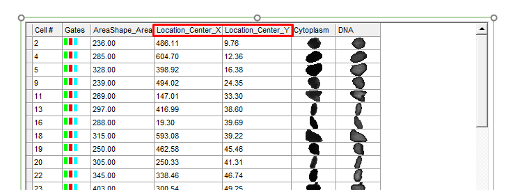 Figure T28.32   Formatted Data Grid With Added Parameters