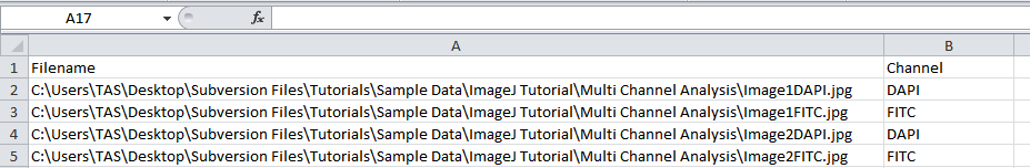 Figure T28.111 The FilelistForDnsExpoter.csv file in Excel after editing to remove extra column headers, plate information, and adding the channel information.