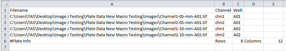 Figure T28.119 An .IJX Analysis Configuration file for a plate based assay that contains two wells, one image per well, and each image contains two channels. The text #Plate Info, Rows, 8, Columns, 12 indicate the plate is 8 x 12 rows, or a 96 well plate.