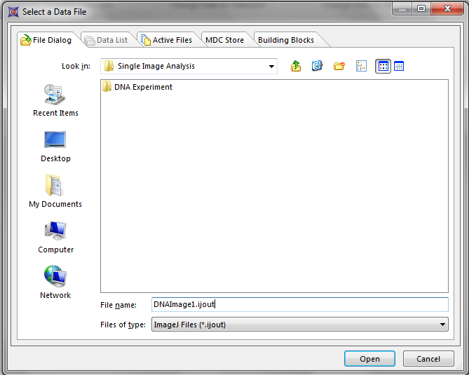 Figure T28.100 The Single Image Analysis folder after processing the images. There will be separate .ijout files for each image and folders that contain the results and masking files.