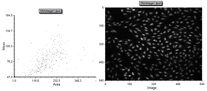 Figure T28.101 A dot plot and picture plot that were create from the DNAImage1.ijout file. 