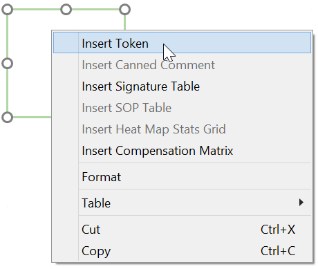 Figure 33.9 The insert token window.
