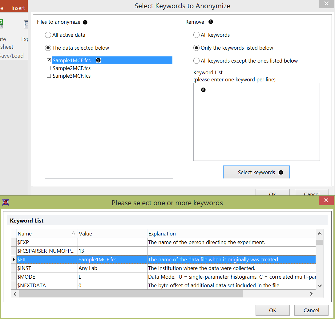 Figure 16 - The Keywords Anonymizer