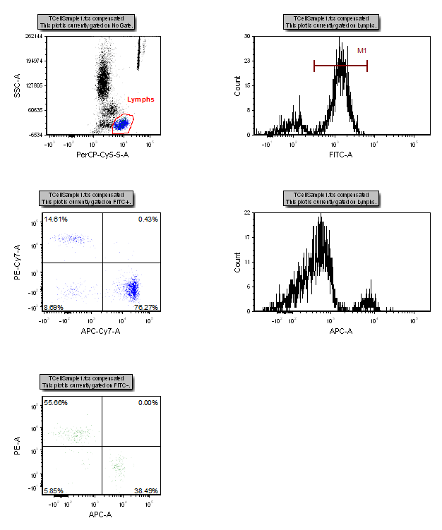 Figure T14.3  Layout Navigator - Page 1 Plots