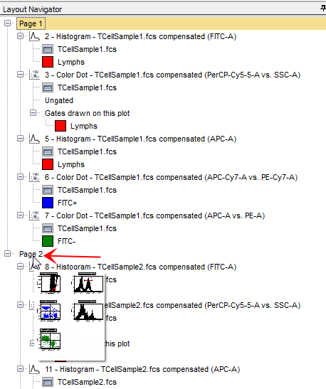 Figure T14.7  Image of Page 2 on the Layout Navigator
