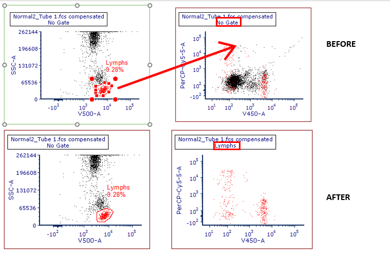 Figure T10.22 - Before and After Dragging and Dropping the Lymphs Gate