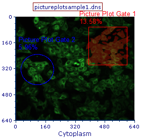 Figure T26.13  Picture Plot Highlighting Only Cells Found Within Picture Plot Gate 1