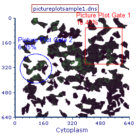 Figure T26.17  Picture Plot with Dot Plot Gate Applied