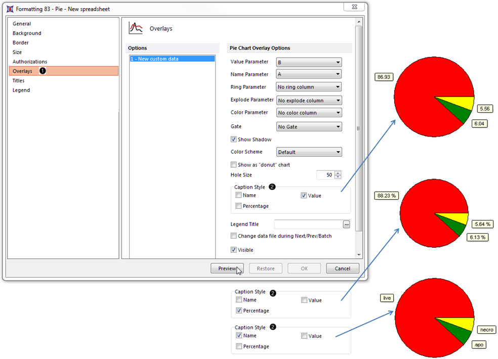 Figure 14.  Editing the Caption Style of the Pie Chart