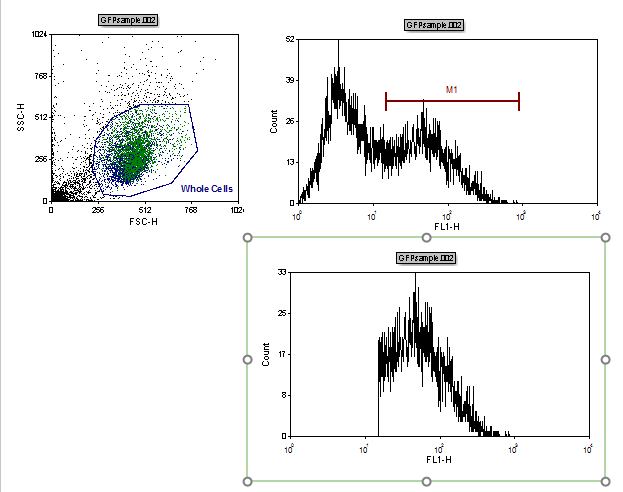 Figure T7.10  Lower Right Histogram Gated on GFP(+)