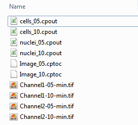 Figure T24.33  Example of CellProfiler Output Folder When Analysis is Complete