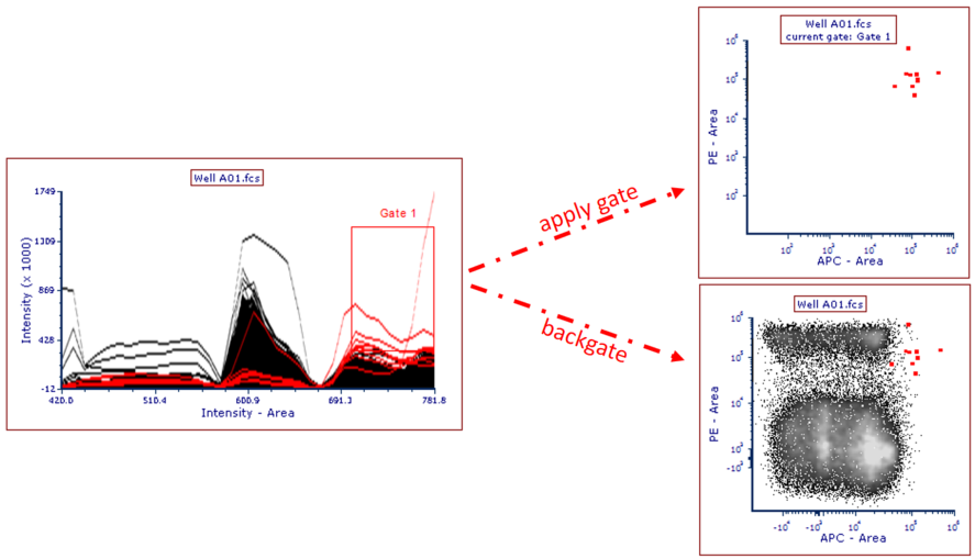 Figure 28.6 - Gate created on Spectrum Plot and applied or backgated onto a Color Dot Plot.