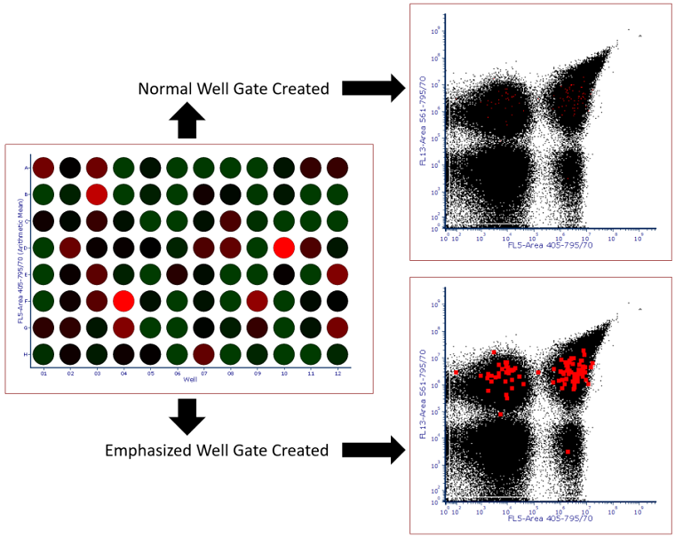 Figure 32.24 Heat map with Well Gate created on all wells. Standard gate is shown above while a gate with the Emphasize on Plots check box checked is shown below. Note that events highlighted in red fall within the well gate and in this case represent all events that were sorted into the plate. 