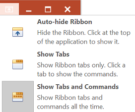 Figure 3.5  Ribbon Display Options