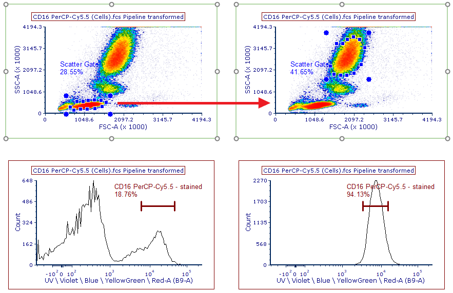 Figure T35.13  Using Data Specific Gates to adjust the Scatter Gate size, shape, and position for the CD16 PerCP-Cy5.5 single stained control only.