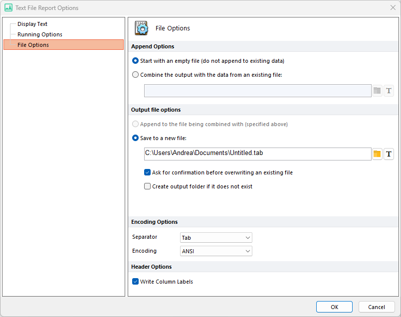 Figure 8.43 Text Report File Options