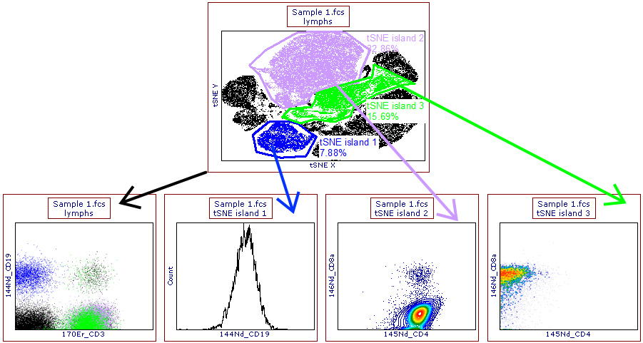Figure 9.150 Gates have been drawn on tSNE parameters (upper panel) and have been displayed (lower left plot) or applied (lower central, right, and far-right plots) to other plots.