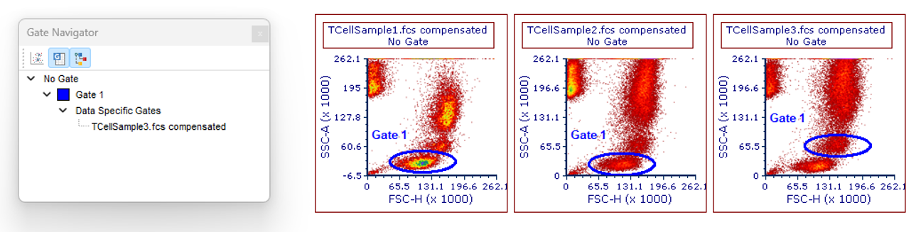Figure 7.18 - An example of a data file specific gate for Gate 1 that has been made Data File Specific for File 4.