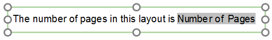 Figure 12.6  Display Text - Token Description