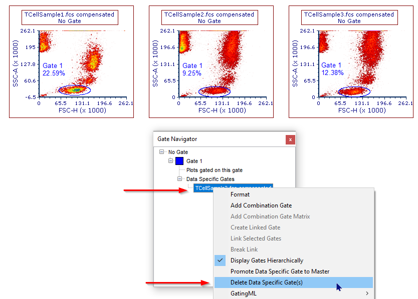 Figure 7.20 - A Data File Specific Gate can be removed using the right click menu in the Gate Navigator.