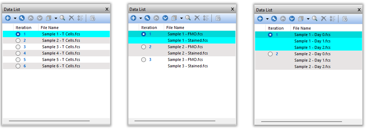 Figure 6.14 Examples of organizing itrations in the Data List