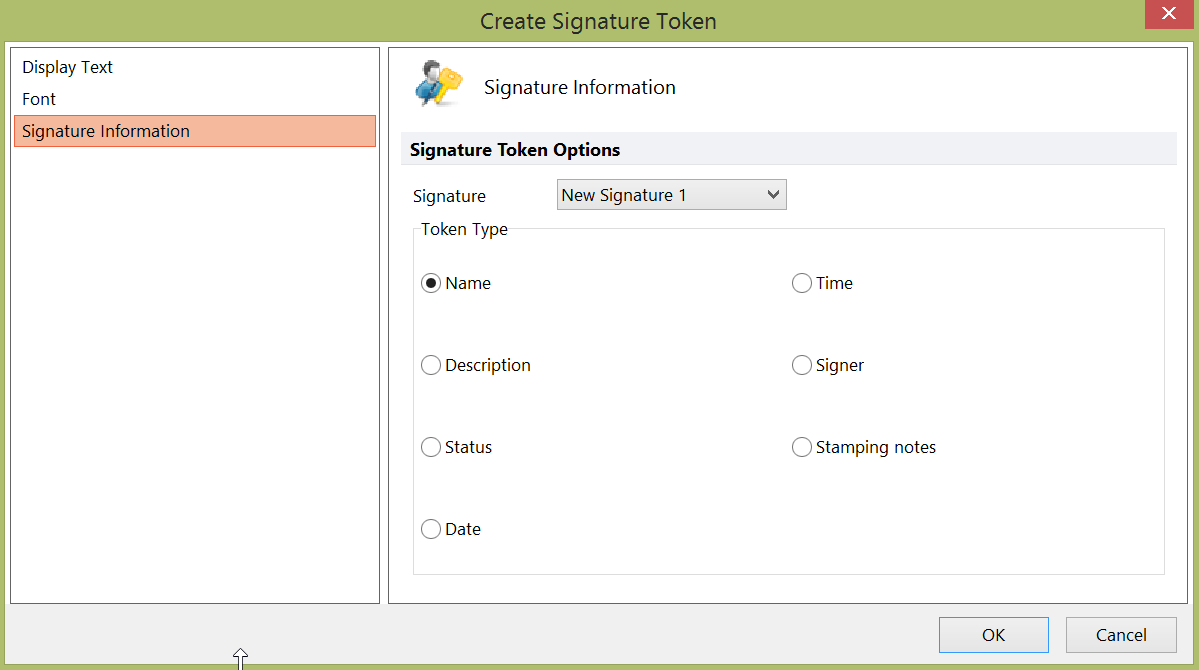 Figure 16.11 Signature information in the Create Signature Token window.