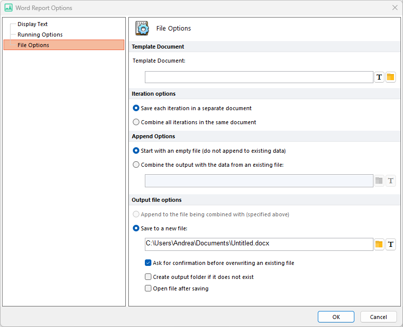 Figure 8.43  Word Report File Option