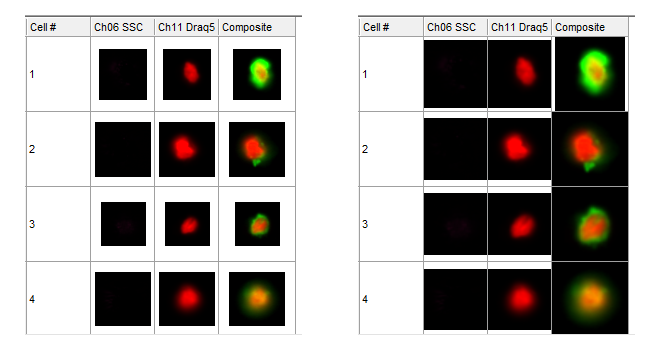Figure 5.180  Example Data Grid with Data Image "Option" set to either "Center image in grid" or to "Fill grid cell"."