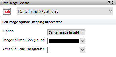 Figure 5.179 Formatting data image options in a Data Grid