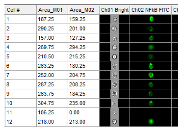 Figure 5.181  Example Data Grid with Image Column Background color set to black.