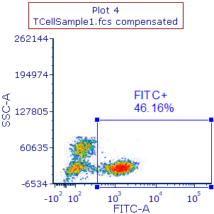 Figure T4.41  New Plot after Creating FITC+ Gate, which is Data Specific Once Moved