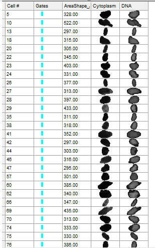 Figure T30.29   Example of Data Grid with Cyan Gate Applied