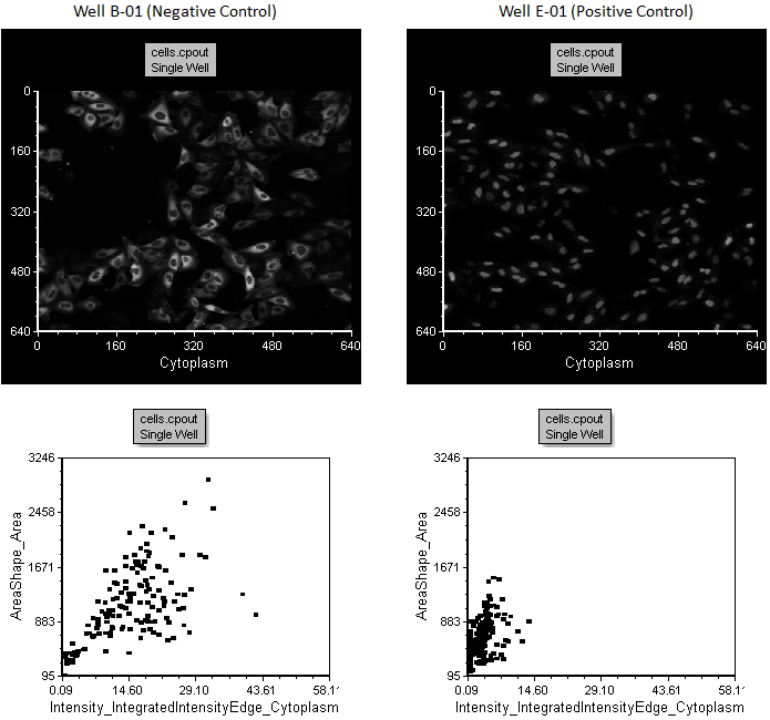 Figure T30.37   Comparison of Negative and Positive Control Wells, B-01 and E-01, in the Left and Right Plots, Respectively 