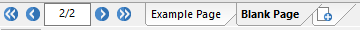 Figure T30.10   Selecting the Blank Page Tab