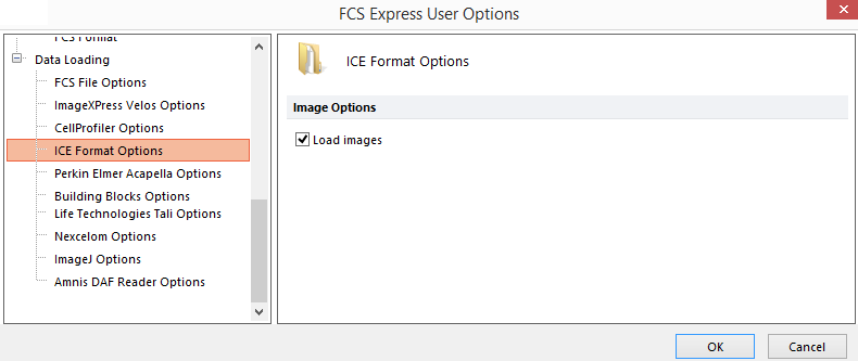 Figure 20.58  ICE Format options