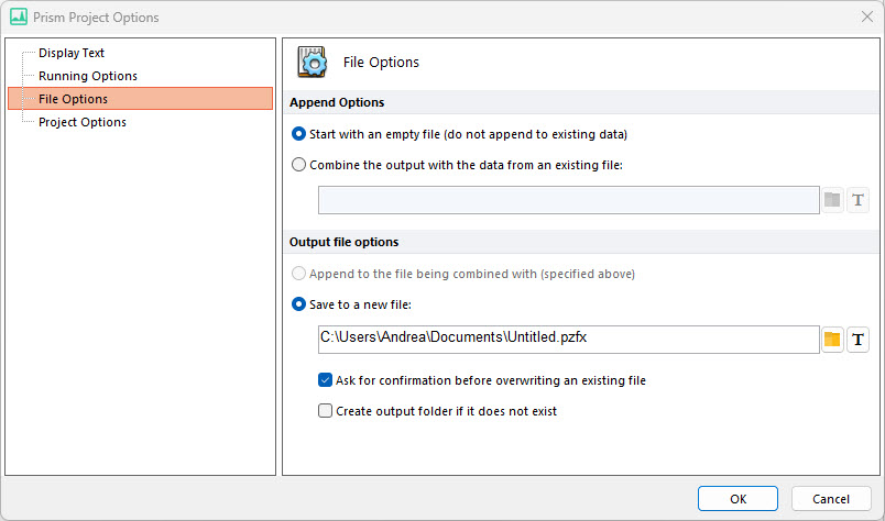 Figure 8.17 Prism Project File Options 