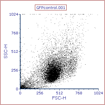 Figure T2.3  2D Dot Plot Inserted on Layout