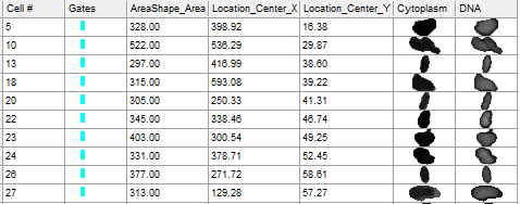 Figure T30.31   Formatted Data Grid With Added Parameters