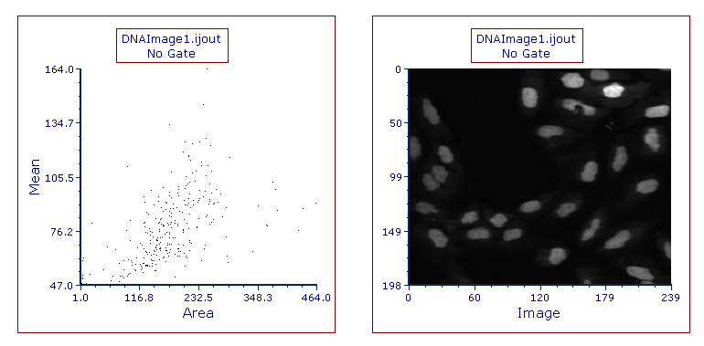 Figure T27.17  Dot and Picture Plots Displaying Data from  DNAImage1.ijout