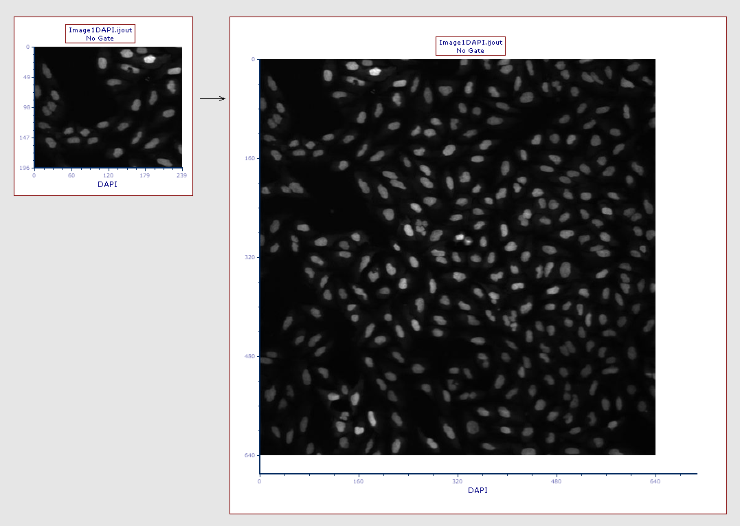 Figure T27.21a The picture plot (left) has been resized in order to display teh full picture (right)