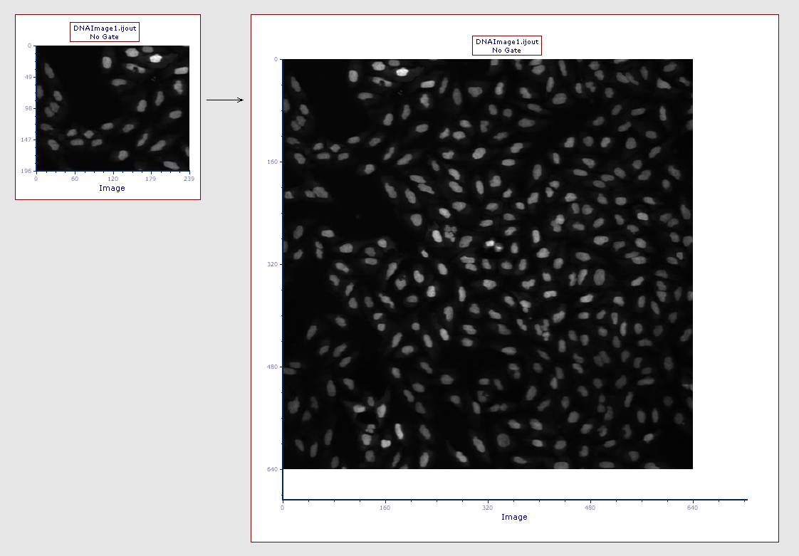 Figure T27.17a The picture plot (left) has been resized in order to display teh full picture (right)