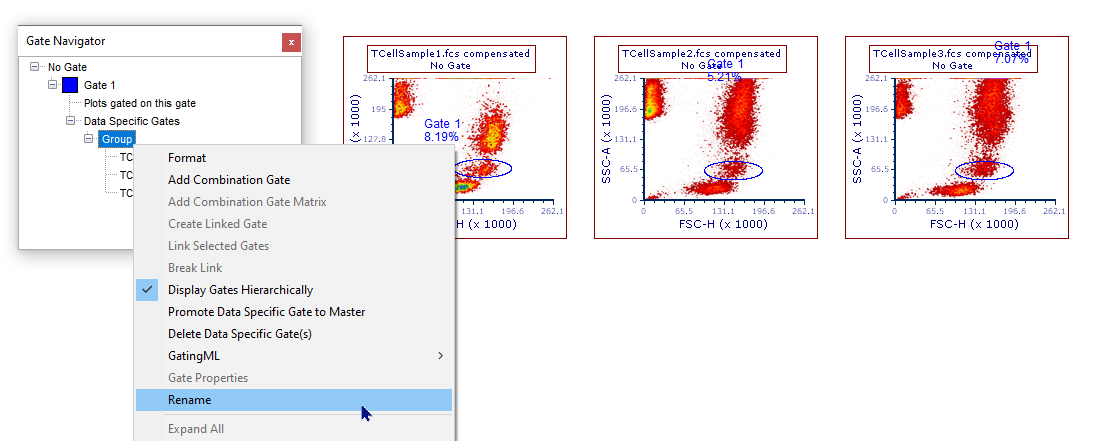 Figure 7.29 -  DSG groups can be renamed from the Gate Navigator.