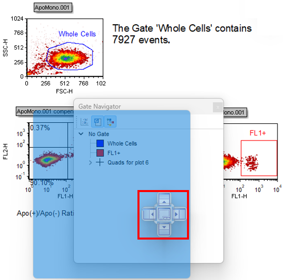 Figure T12.3  Docking Zone Sectros in the Center of the Layout