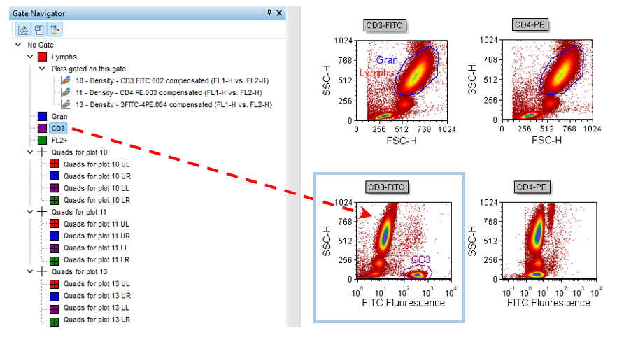 Figure T15.8  Dragging and Dropping the CD3 Gate from the Gate Navigator onto a Density Plot on the Layout