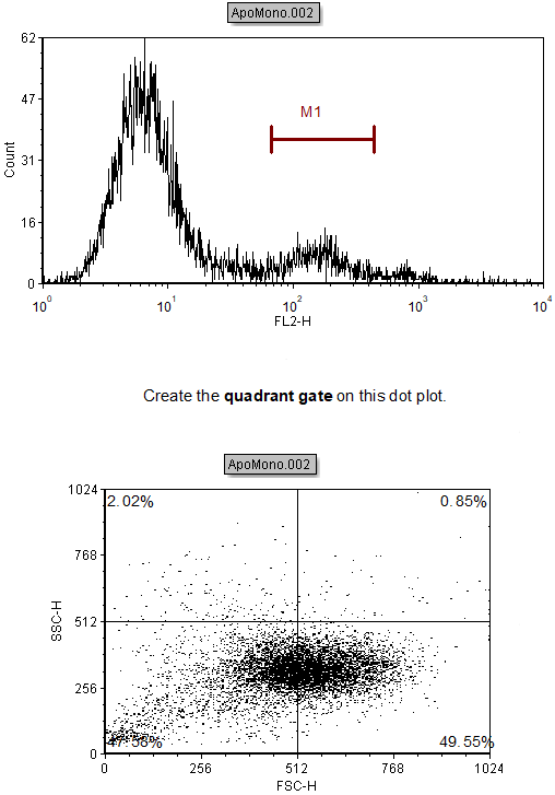 Figure T4.15  Histogram and 2D Plot Displaying ApoMono.002