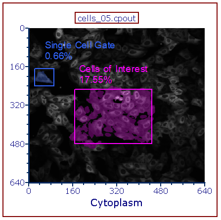 Figure 5.69  Single Cell Gate Drawn on a Picture Plot